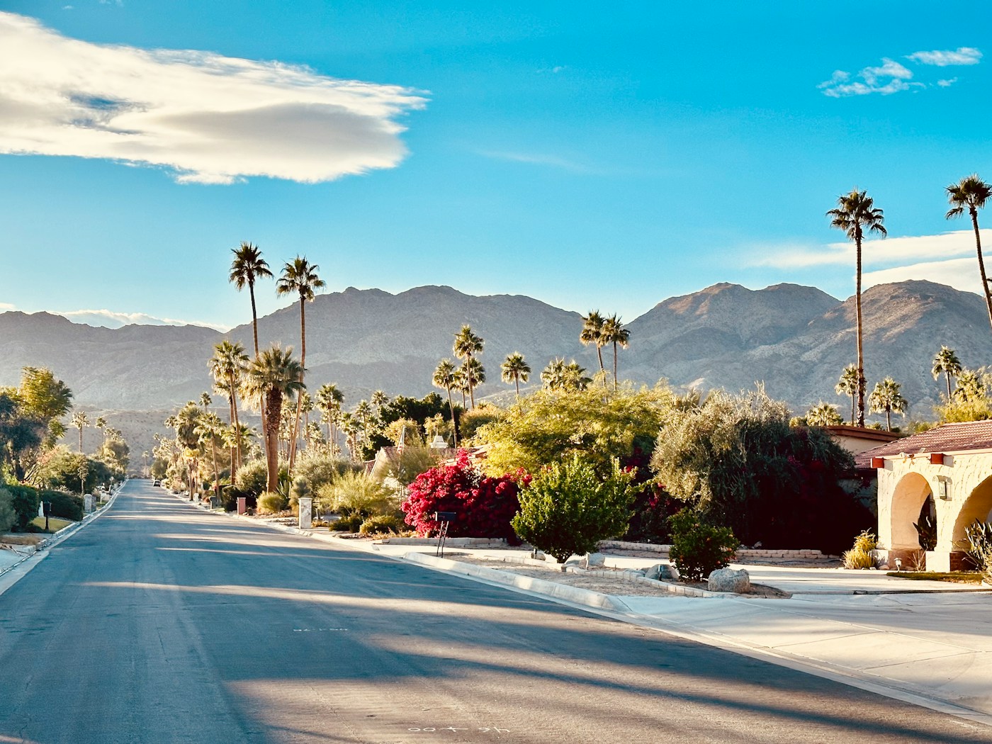 Palm-lined street with desert mountains in Palm Springs